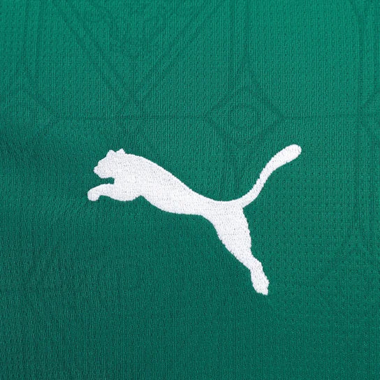 Camisa Palmeiras Home 2025/26 - Torcedor Masculina - Lançamento