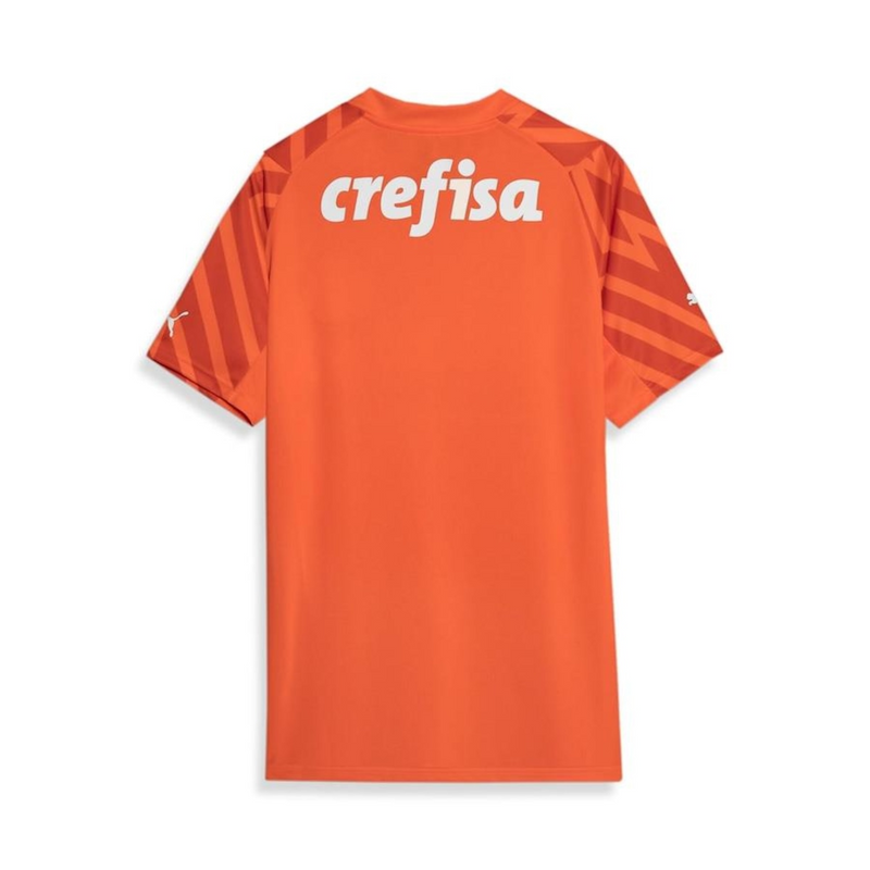 Camisa Palmeiras Third - 2024/25 - Torcedor Masculino