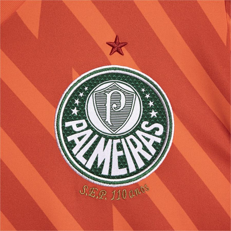 Camisa Palmeiras Third - 2024/25 - Torcedor Masculino