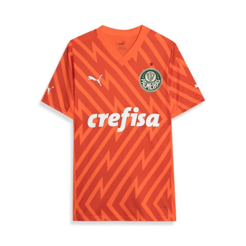 Camisa Palmeiras Third - 2024/25 - Torcedor Masculino