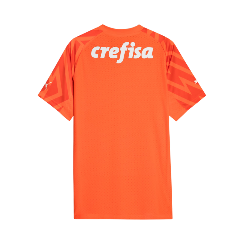 Camisa Palmeiras Goleiro - 2024/25 - Torcedor Masculina -  Laranja
