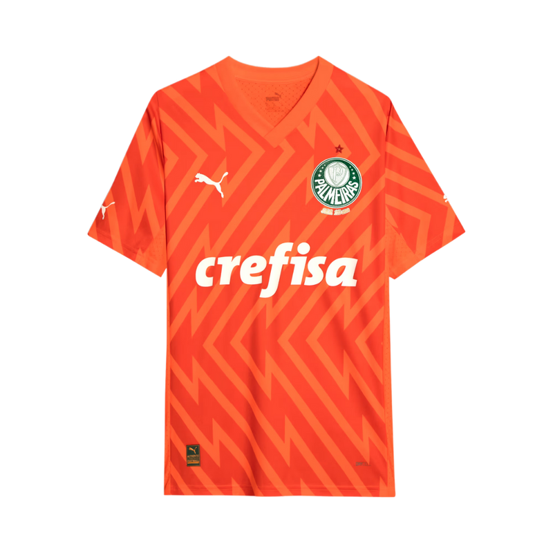 Camisa Palmeiras Goleiro - 2024/25 - Torcedor Masculina -  Laranja