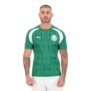 Camisa Palmeiras Pré - Jogo - 2024/25 - Torcedor Masculino