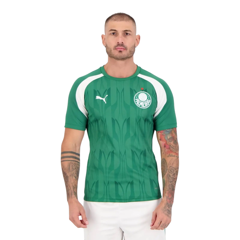 Camisa Palmeiras Pré - Jogo - 2024/25 - Torcedor Masculino