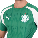 Camisa Palmeiras Pré - Jogo - 2024/25 - Torcedor Masculino