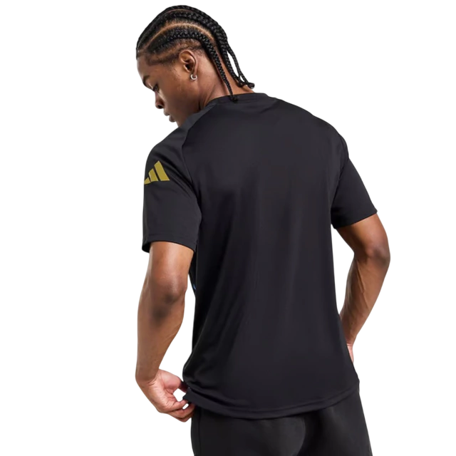 Camisa Argentina Pré - Jogo - 2024/25 - Torcedor Masculina