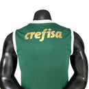 Regata Palmeiras Home - 24/25 - Torcedor Masculina - Verde