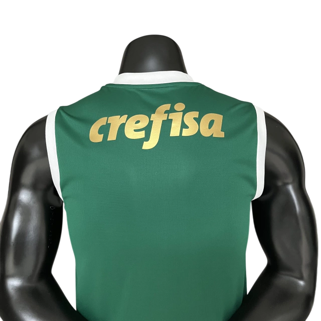 Regata Palmeiras Home - 24/25 - Torcedor Masculina - Verde