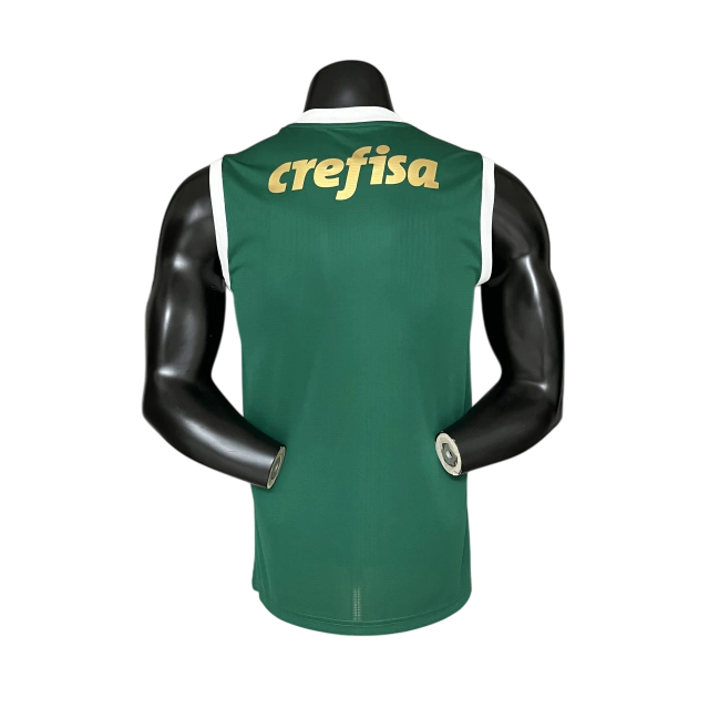 Regata Palmeiras Home - 24/25 - Torcedor Masculina - Verde