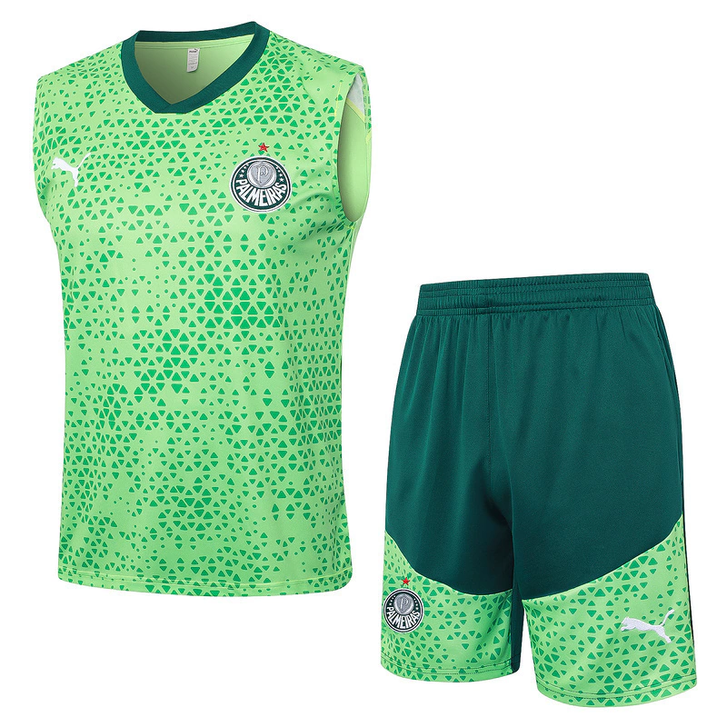 Conjunto Regata Palmeiras - Torcedor Masculino - 2024 / 2025