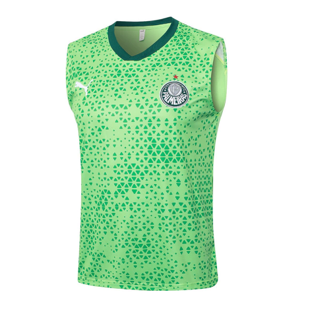 Conjunto Regata Palmeiras - Torcedor Masculino - 2024 / 2025